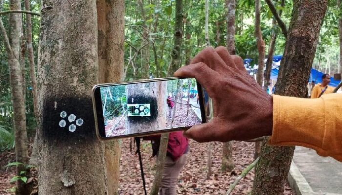 Bukit Peramun, Hutan Digital Pertama di Indonesia