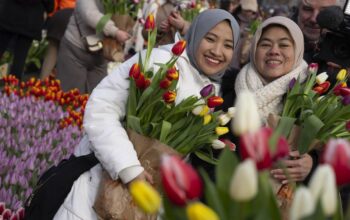 merayakan-hari-tulip-nasional-di-amsterdam-5_169