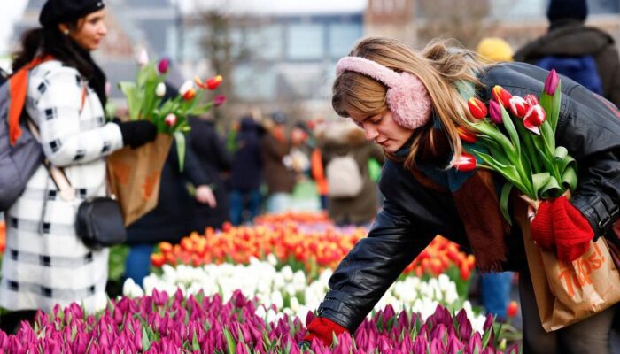 Mengintip Perayaan Hari Tulip Nasional di Belanda