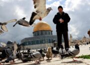 Potret Terkini Komplek Mesjid Al-Aqsa Jelang Ramadhan